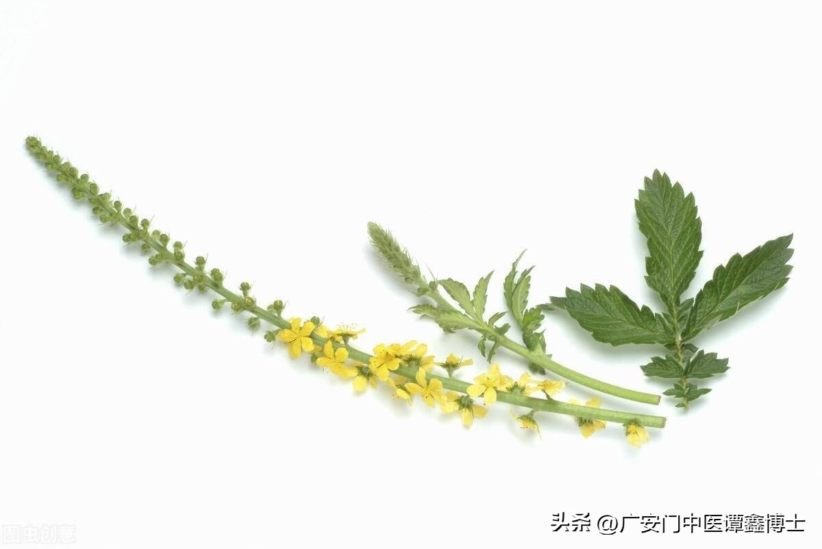 中医直肠癌食疗食谱大全,中医调理直肠癌