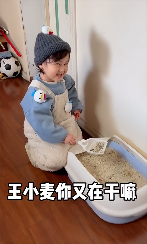 王小麦搞笑萌娃,萌娃王小麦到底有何与众不同
