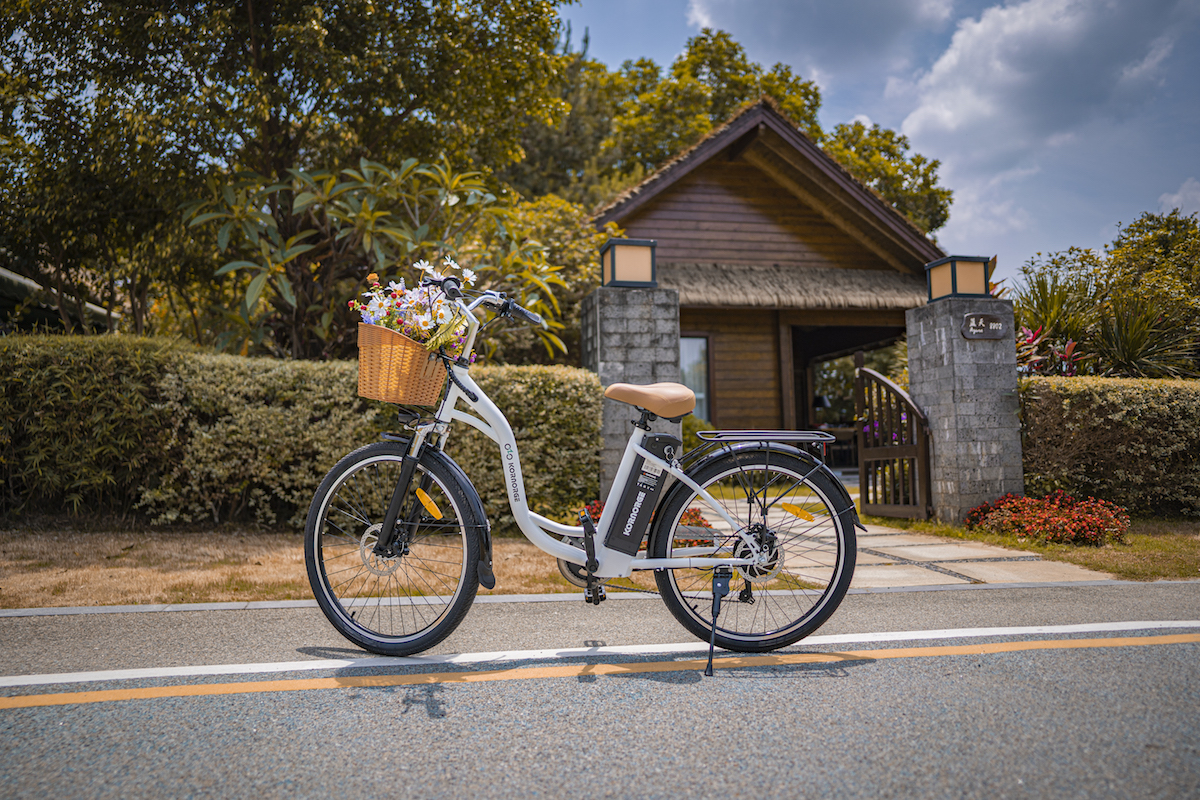 运输工具演变,交通工具的变革