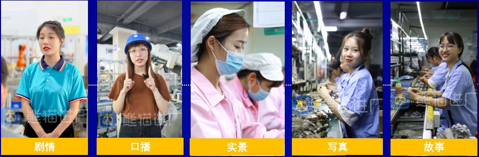 智通人才2020,智通人才服务