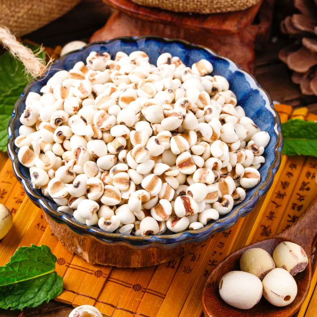 薄荷菊花能一起泡茶可以祛湿热吗,藿香清暑祛湿茶有哪些