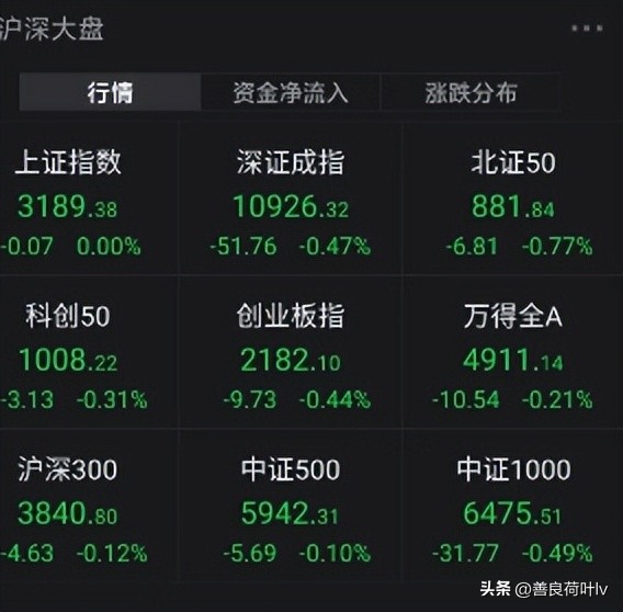 胡锡进：跌到2800点我就加仓,胡锡进炒股秘籍：亏钱就加仓