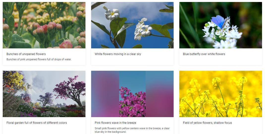 免费好用的素材网站推荐,自媒体免费无版权素材网站干货