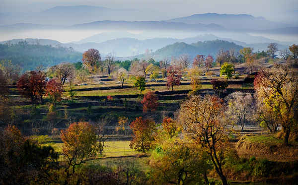 黄冈2021招商引资重点项目,黄冈市2024年重大项目清单