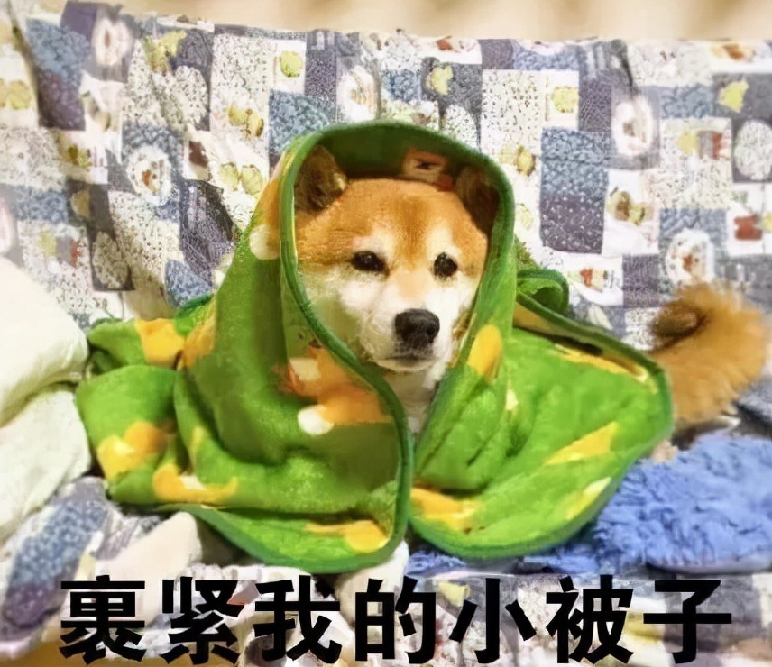 南方人的取暖难题,南北方人取暖的差异