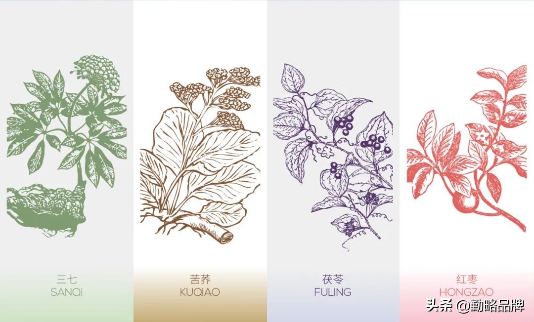 兰花中药图片大全,兰花中药图片