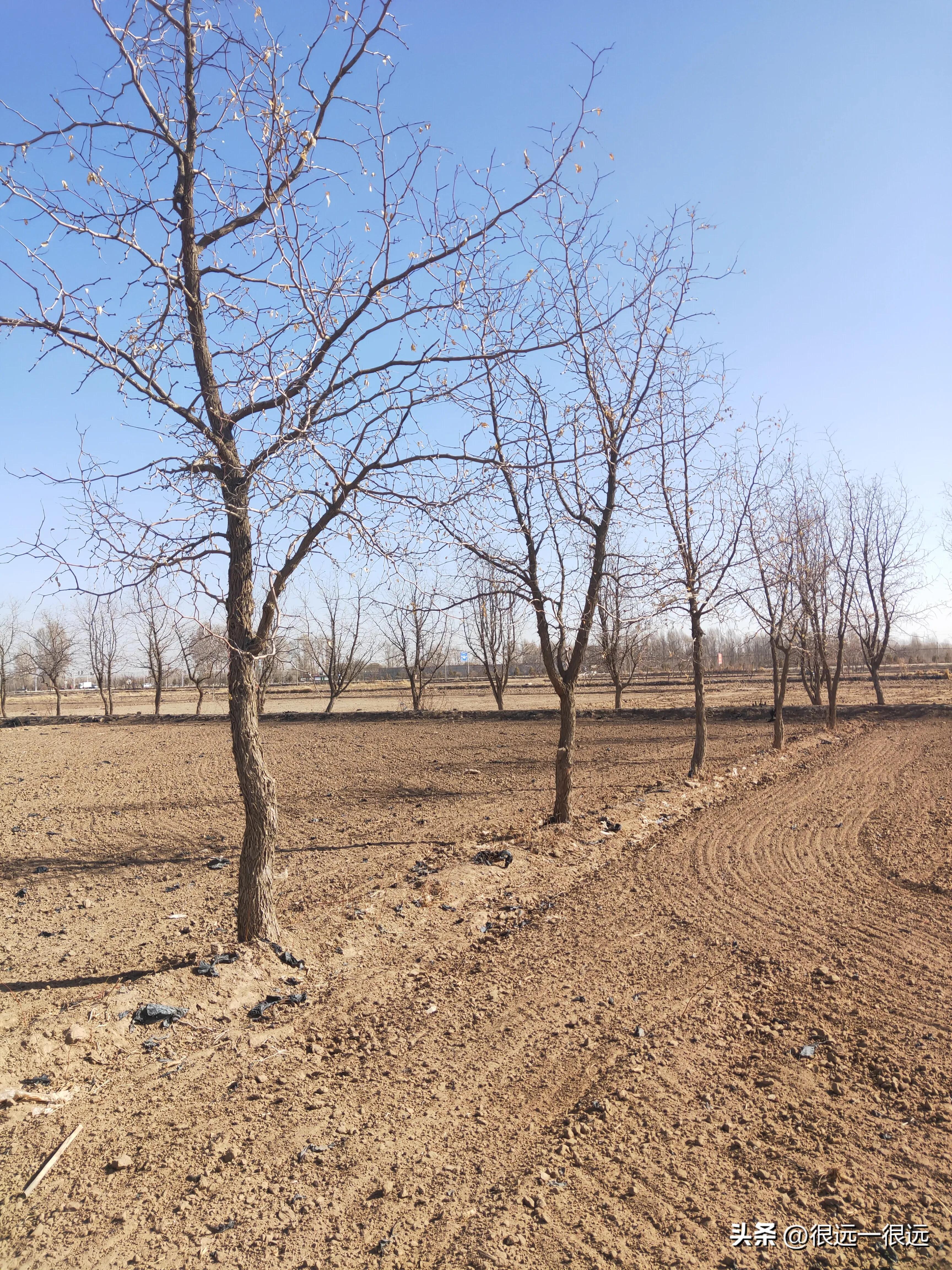 阿七以前的故事,名人阿七的辉煌故事