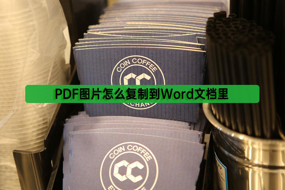 pdf图片怎么全部复制粘贴到word,pdf图片怎么复制到文件夹