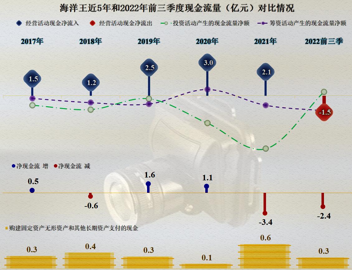 海洋王业绩下滑了吗,海洋王发展历史