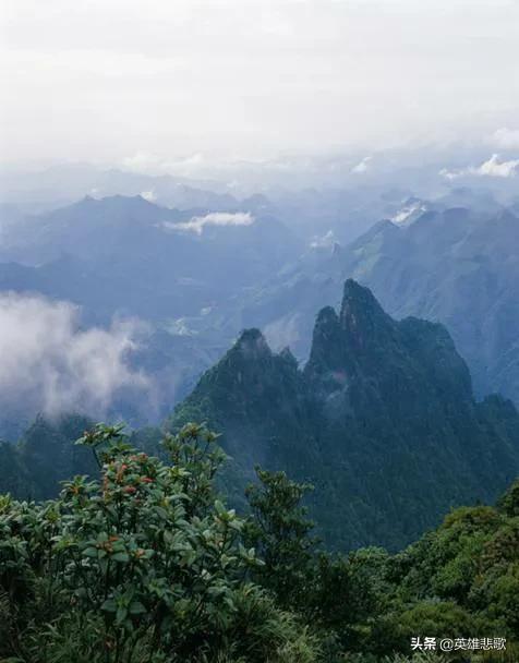 惊险农妇掉入山洞23天,黔南都匀一农妇掉入山洞后续