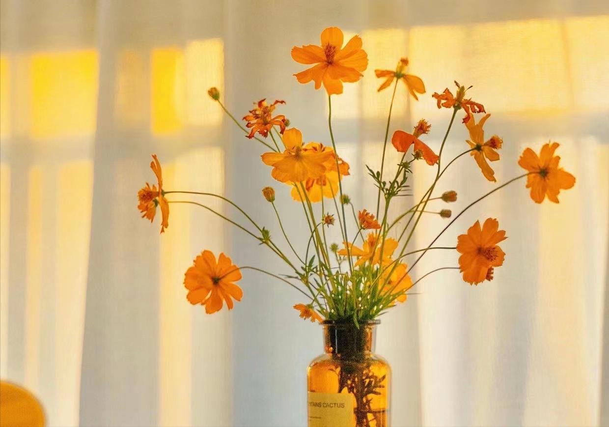 有远见的女人有出息吗,远见的女人都懂得给自己留条后路