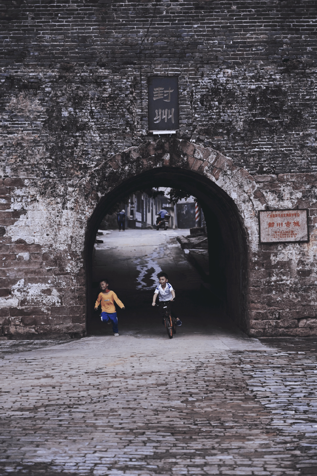 自然保护区志愿者申请,生态文化保护志愿者招募