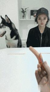 神回复多大点事,神回复小孩笑死人