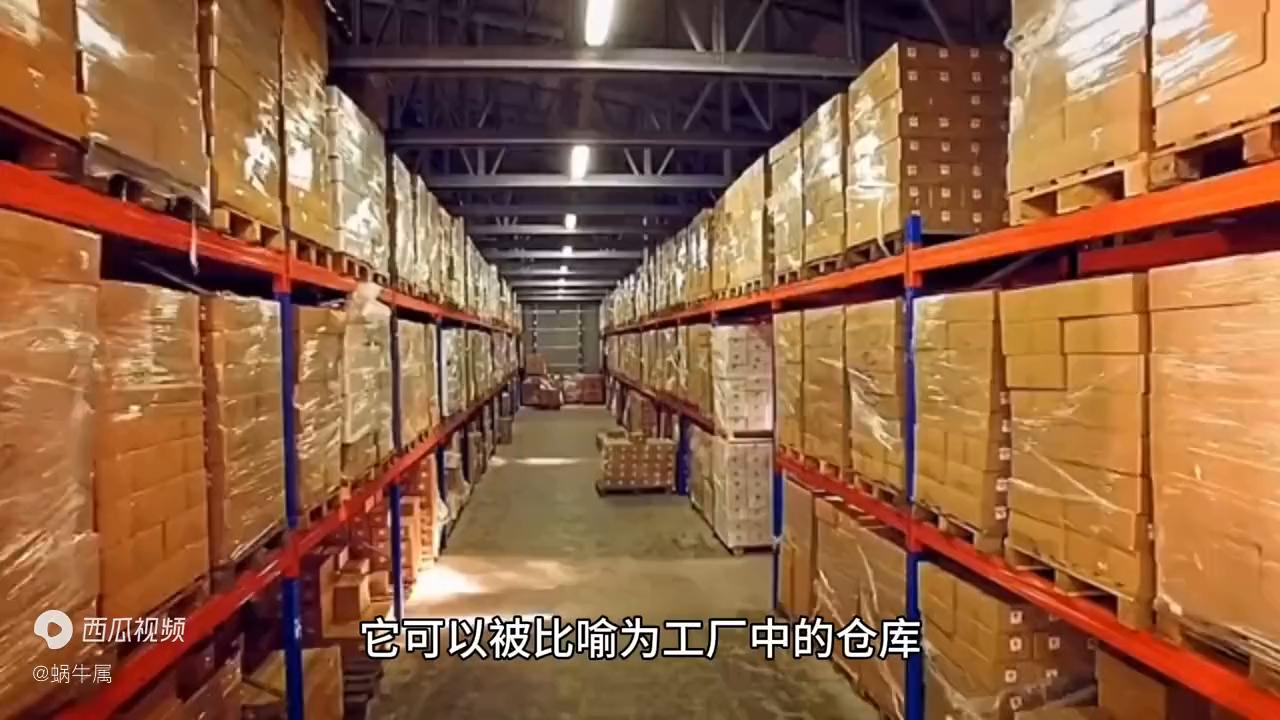 什么是内存条专业解释,什么是内存条