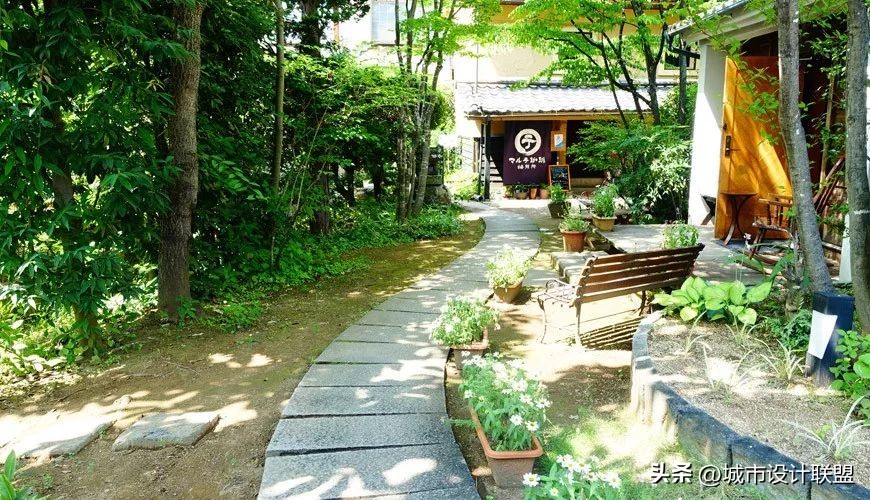 乡村振兴和乡村治理典型经验,乡村治理的发展与创新