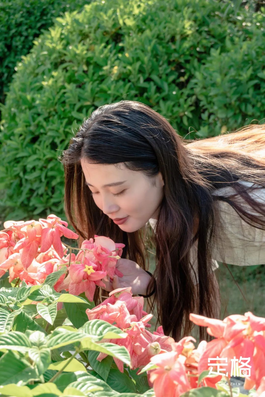 深圳湾流花山花海,深圳蝴蝶谷花海图片