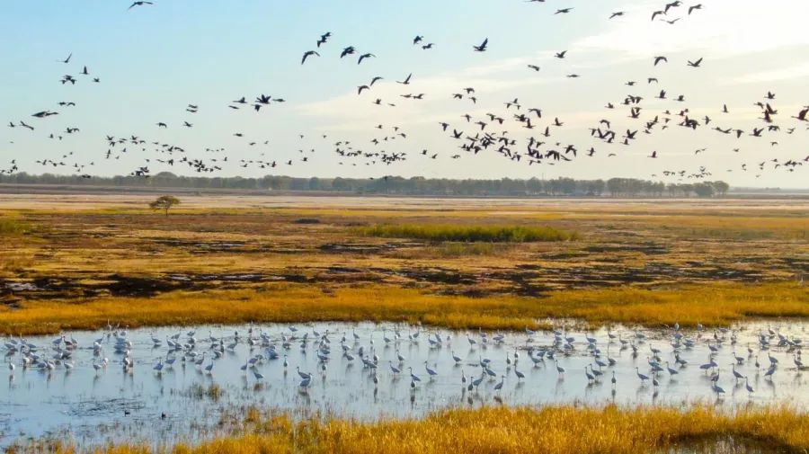 珍稀野生动植物日,北京世界野生动植物日