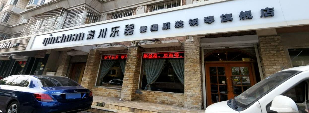 10万左右的钢琴推荐施坦威 (施坦威钢琴5万左右怎么样)