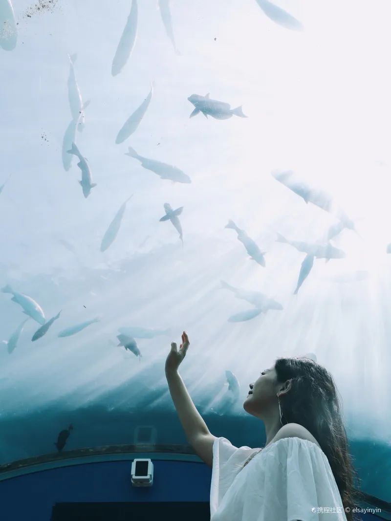 造价500万美元的海底餐厅！开一瓶5.2万美元的水晶香槟