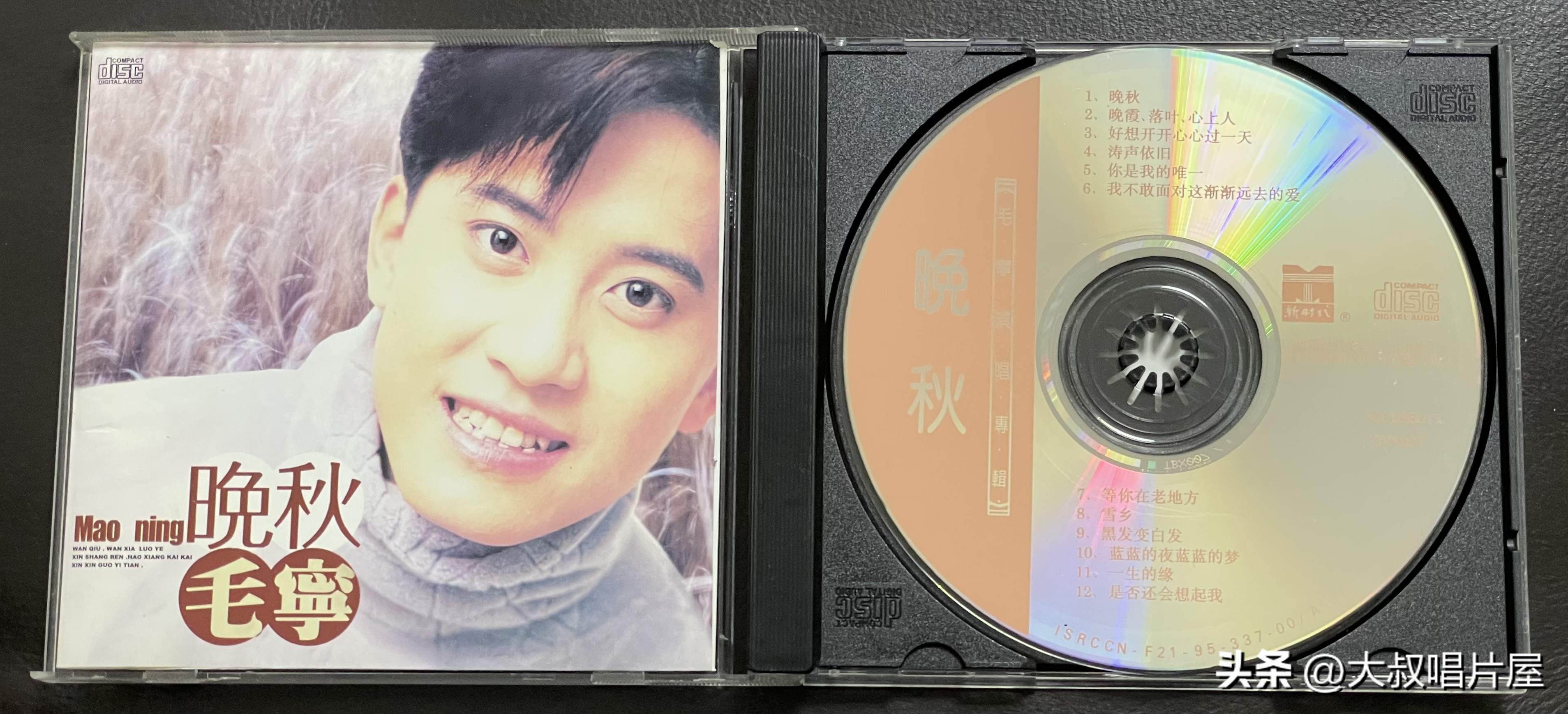 1993年中国神曲,1993年华语乐坛神曲大爆发