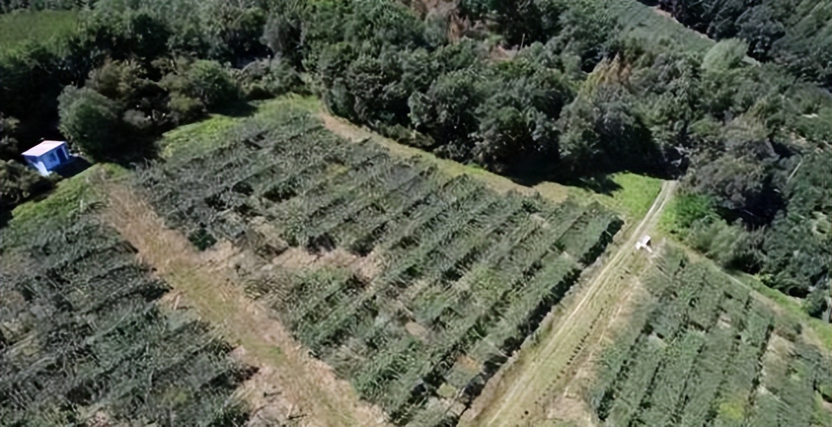 绘制乡村振兴新图景,描绘乡村振兴新画卷的下联