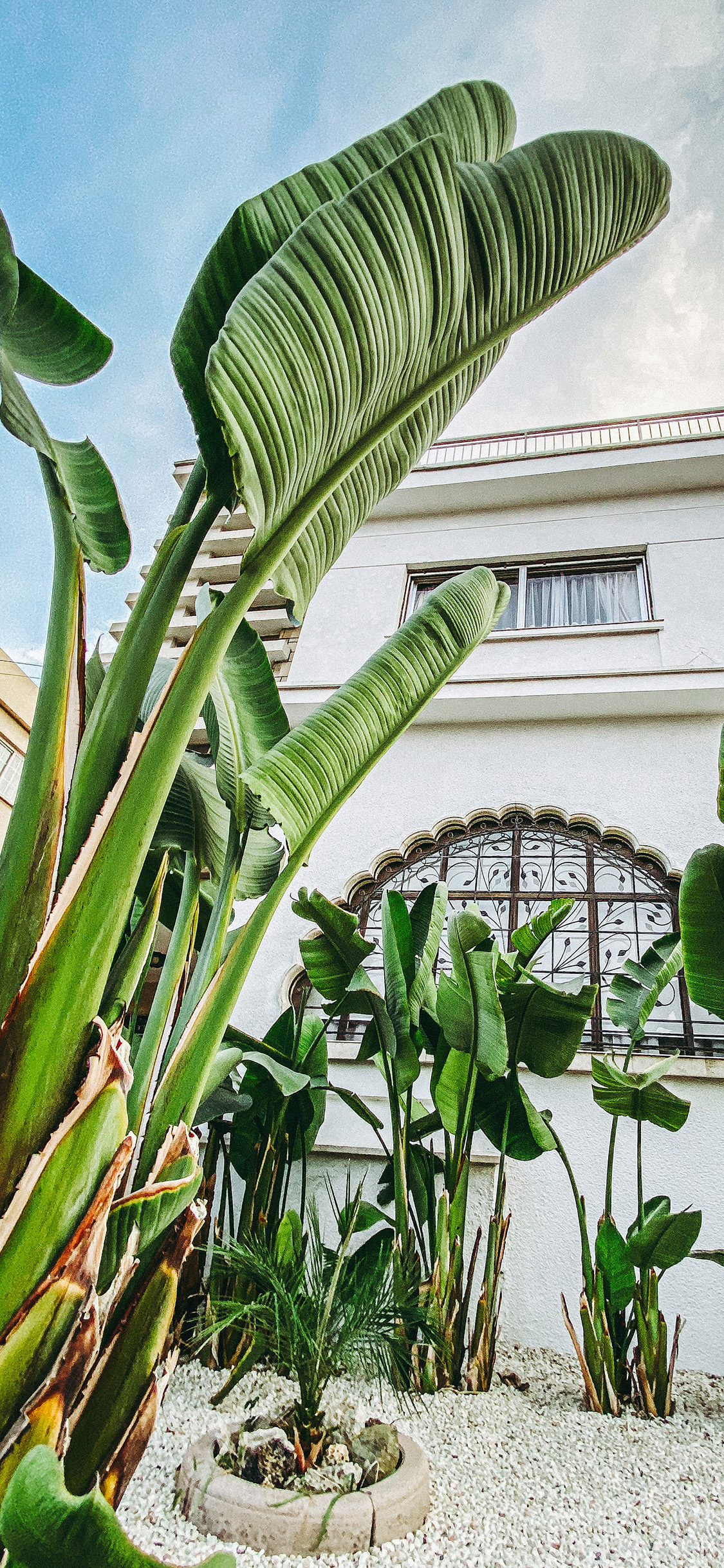 2023年手机壁纸,2023年最新款超清手机壁纸