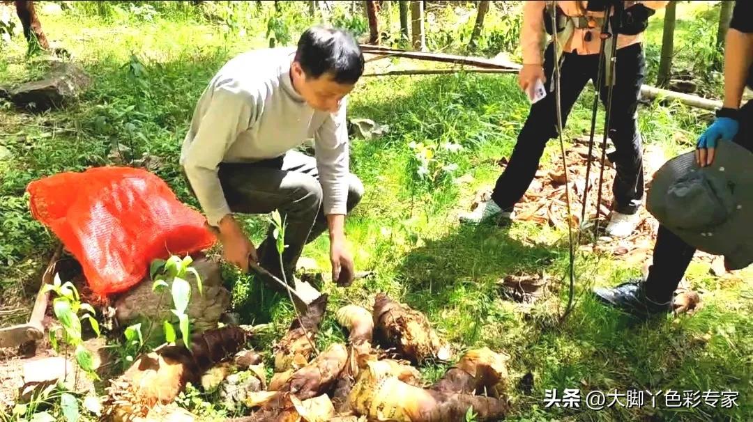 郴州八面山云海,郴州桂东县八面山风景区