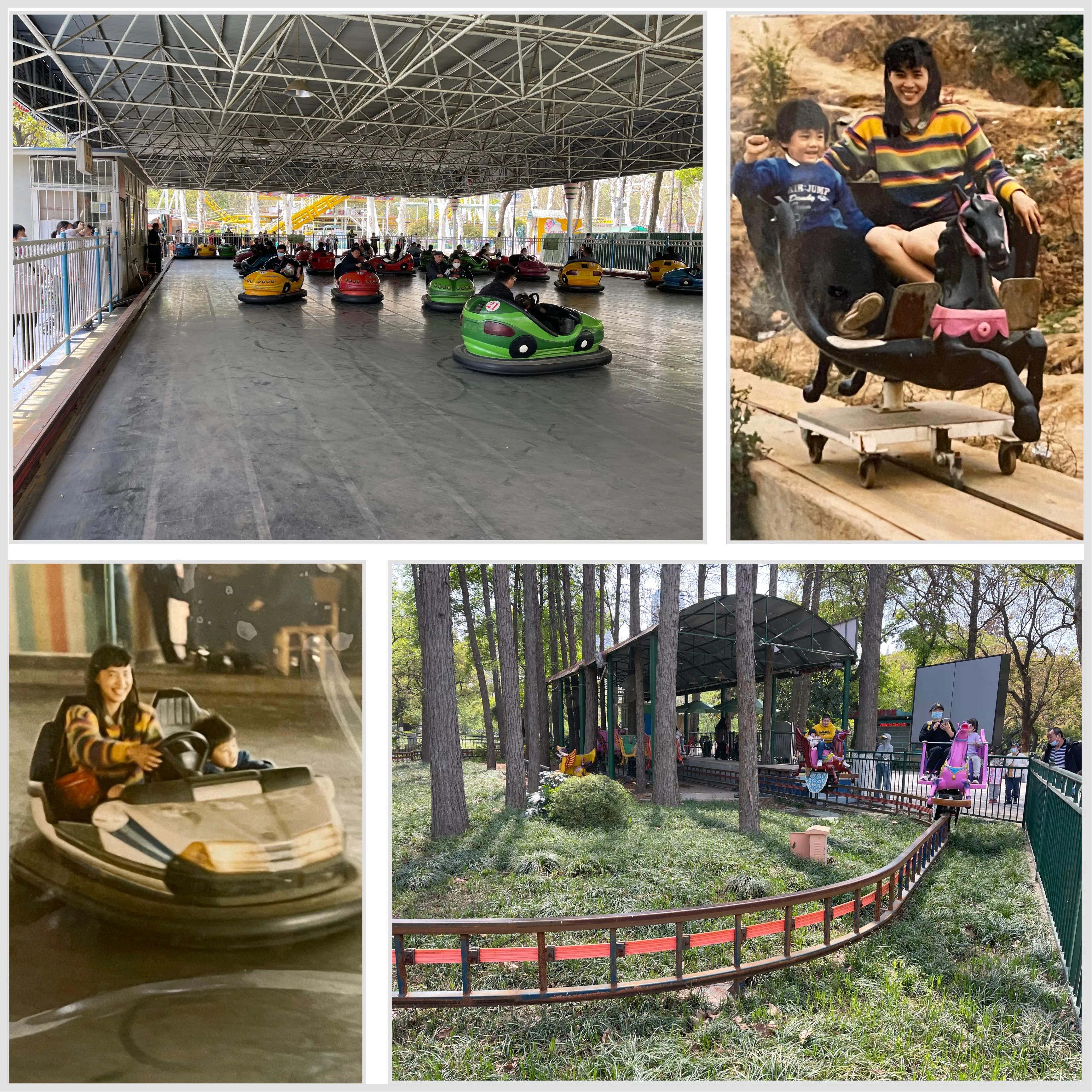 重游佛山中山公园儿时的记忆,重游佛山中山公园拍照片