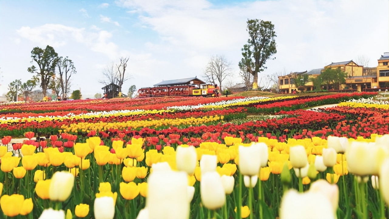 湖北宝藏旅游景点,湖北的宝藏旅行地恩施