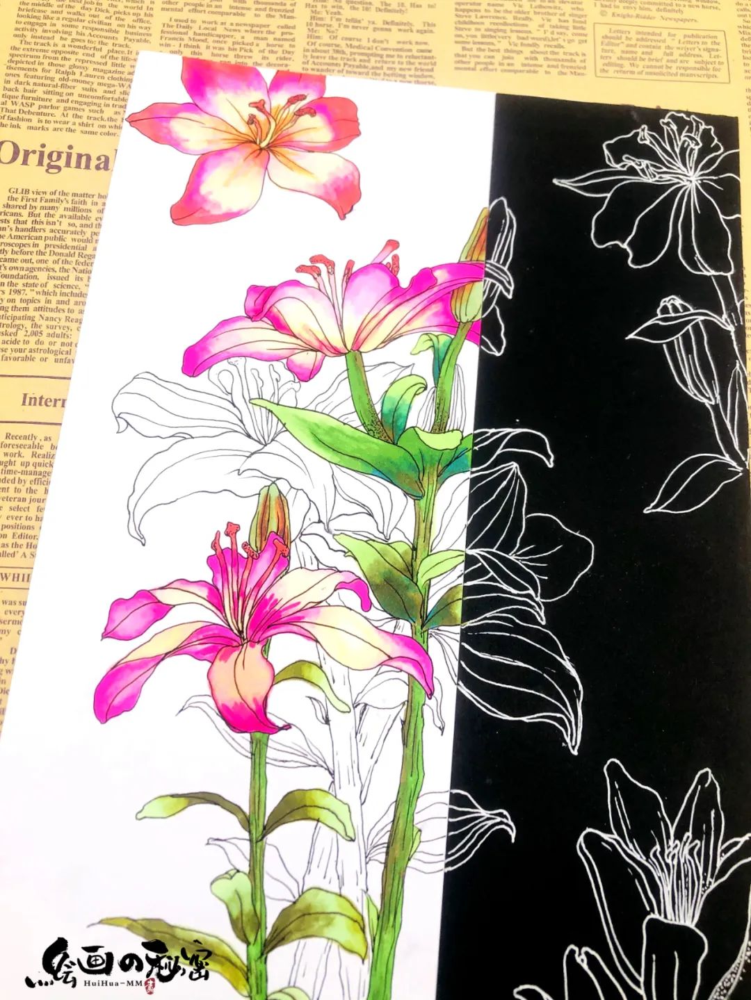 百合花折纸,百合花养殖方法