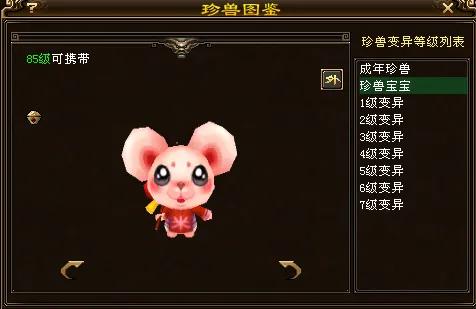 天龙八部手游国际服龙宝宝,天龙八部唐装鼠宝宝怎么获得