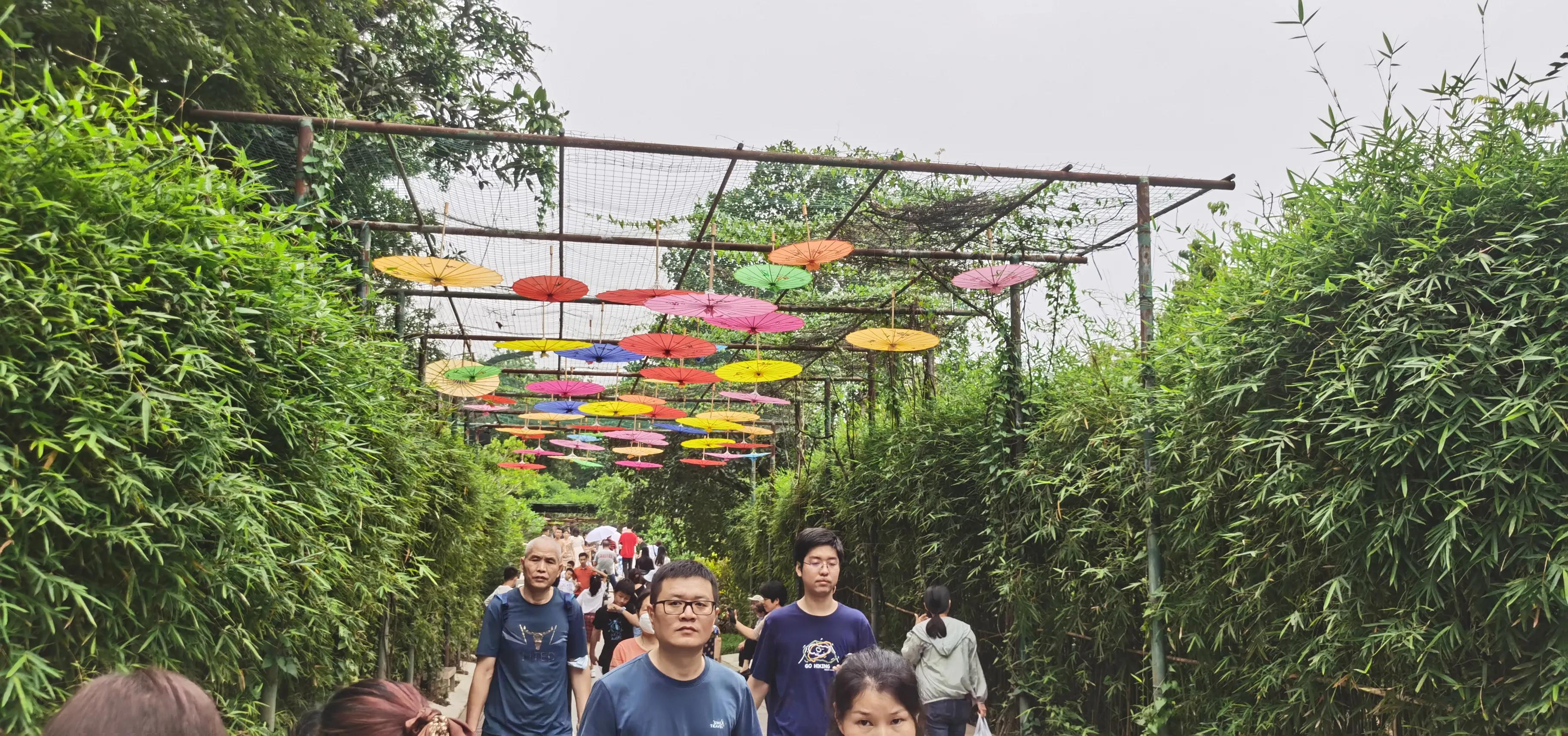 海珠湖湿地公园观鸟,海珠湖湿地公园地图