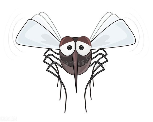 一个房间为什么蚊子只叮我,为什么房子里总是有很多蚊子