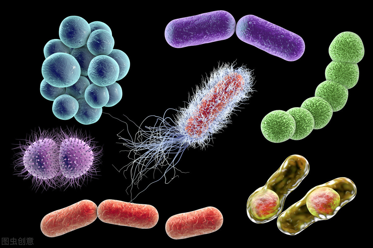 甲硝唑治牙疼的药,甲硝唑治牙疼的药全名