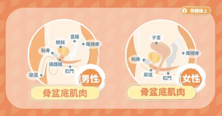 练凯格尔运动真的紧吗,凯格尔运动女生教程