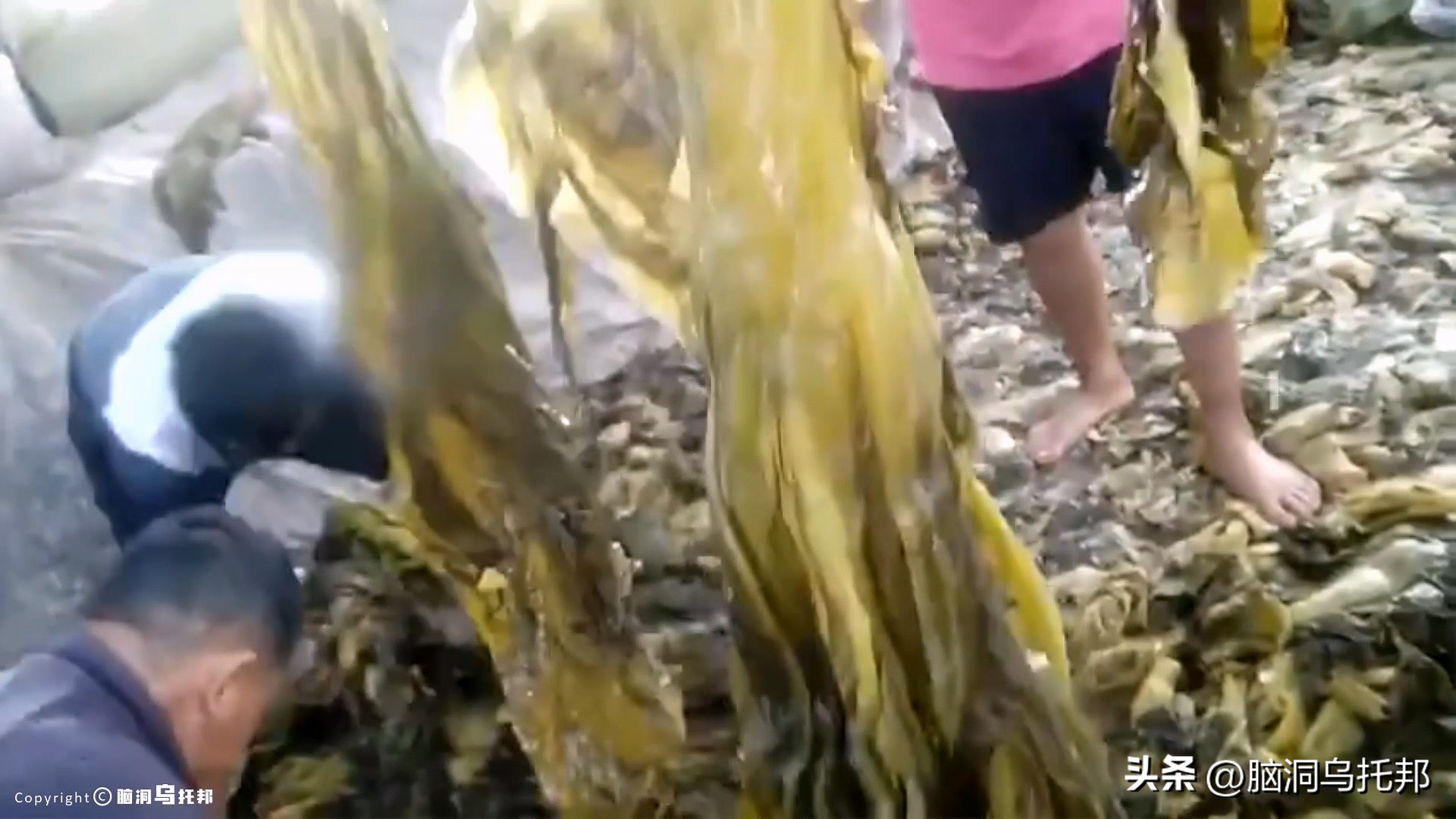 海天酱油添加剂辛吉飞,海天酱油添加剂是什么