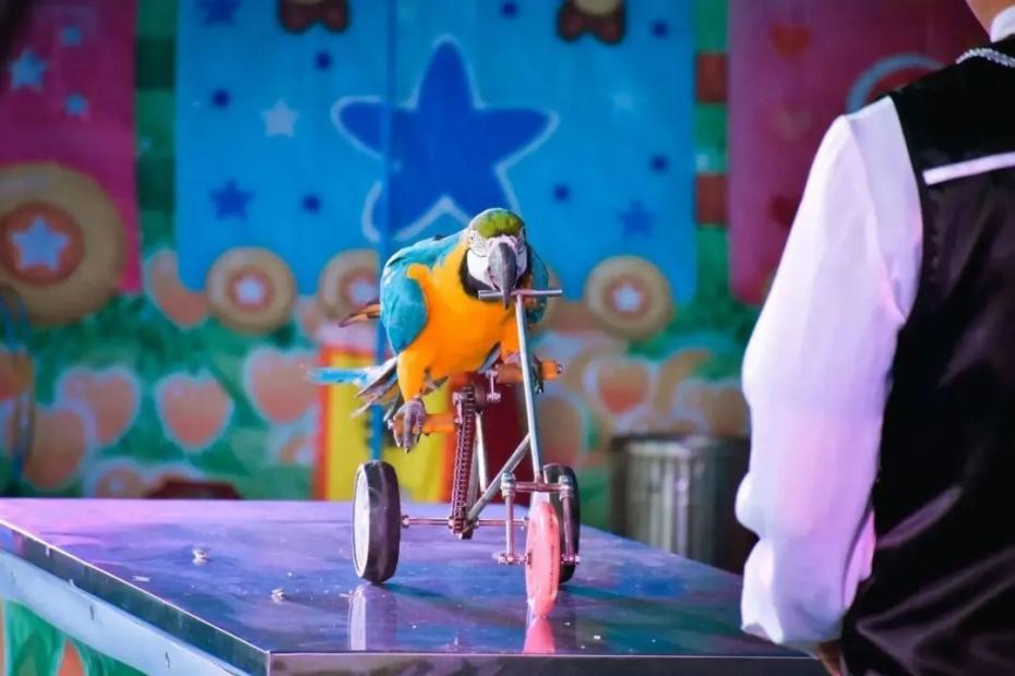 过年买给小朋友的零食礼物,致小朋友的一份礼物请查收