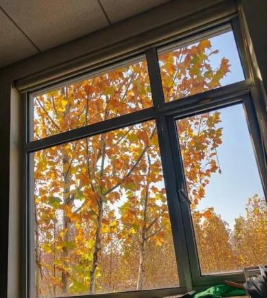 公考小白，想参加省考，推荐一下用书和视频资料？