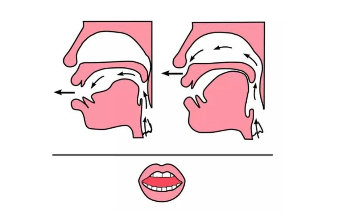 芳芳老师教语文翘舌音和平舌音,语文课上是说翘舌音还是说卷舌音