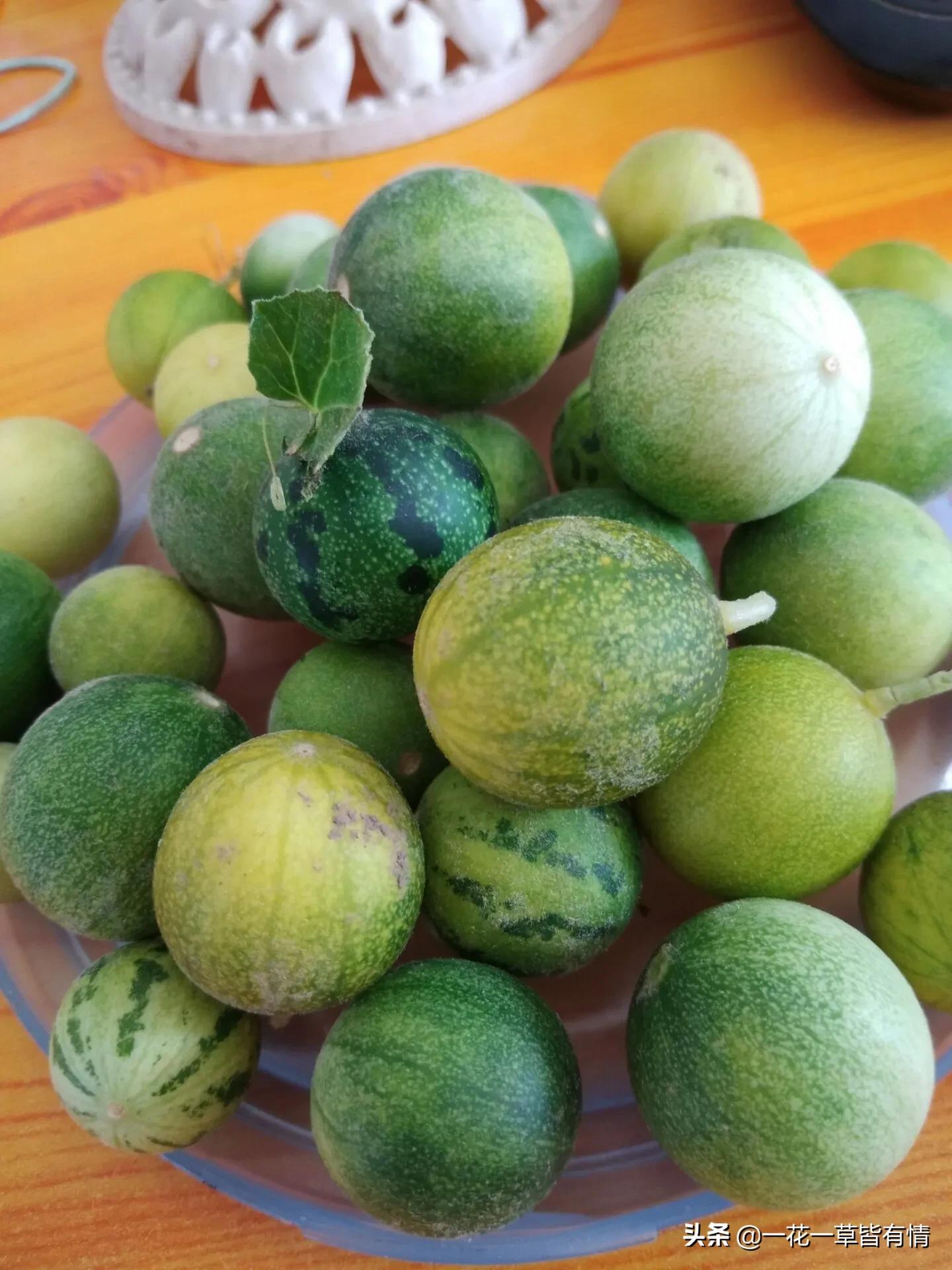 你们小时候都在河边捡到过的东西,重温儿时的记忆来河边捡到宝了