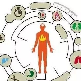 孩子黄金发育期如何更有效教育,错过孩子咀嚼黄金期怎么补