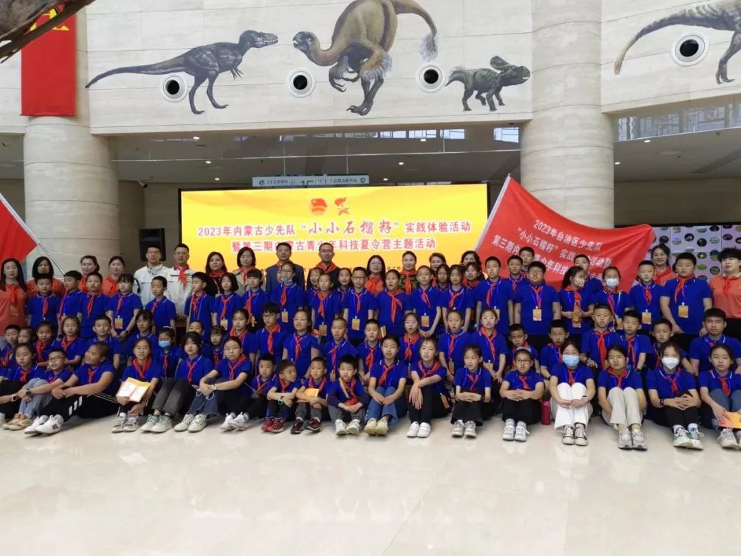 少先队活动课我是小小石榴籽,小小石榴籽少先队活动案例