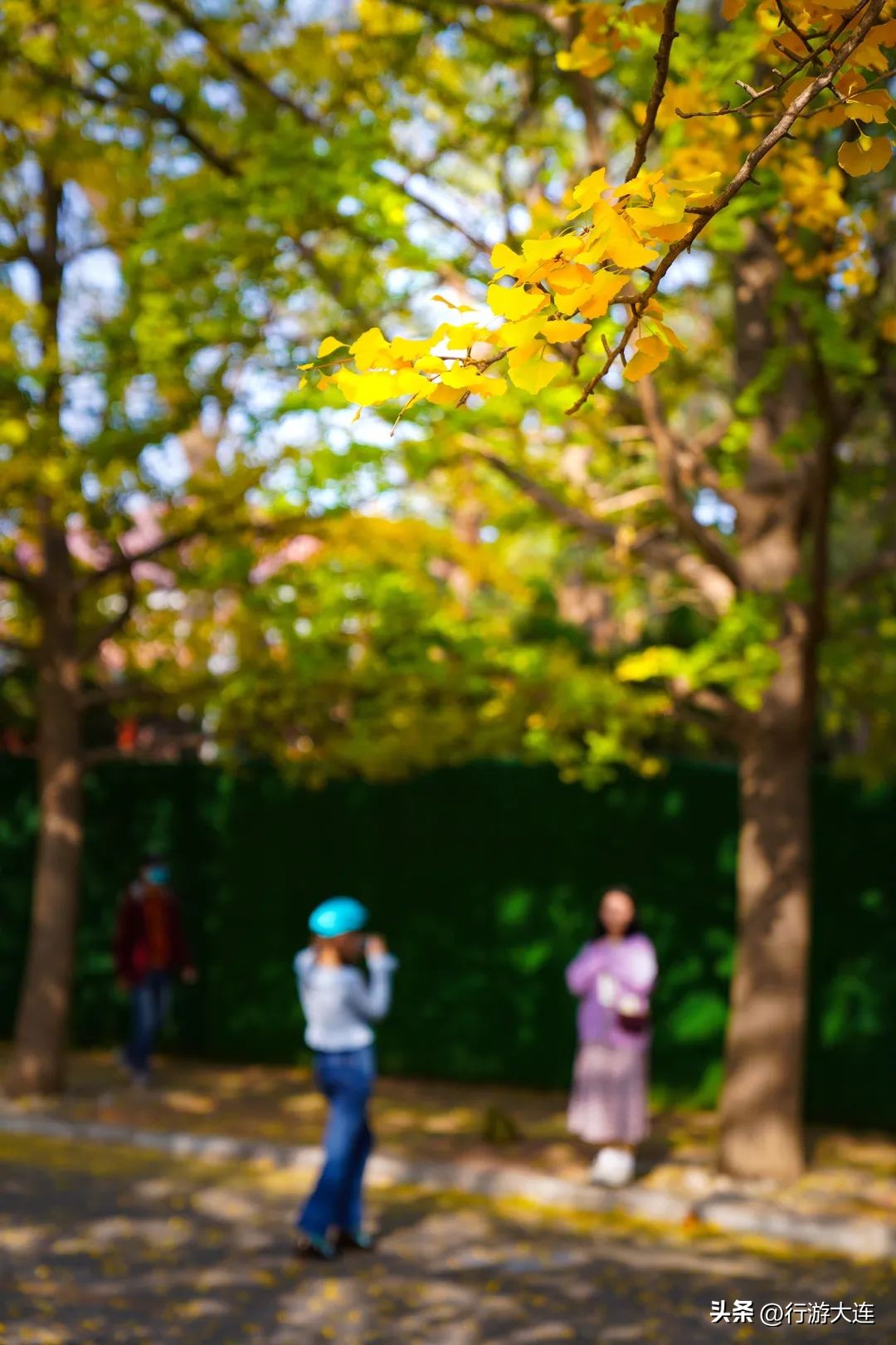 漫步大连风景区,漫步大连风景