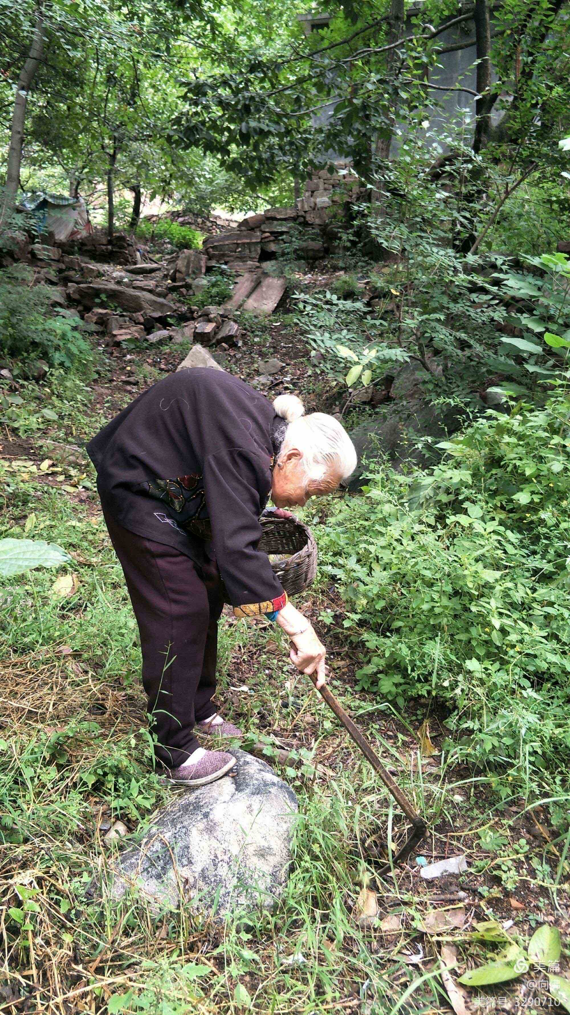 高高的紫云山,我们的青春故事曾在这里演绎