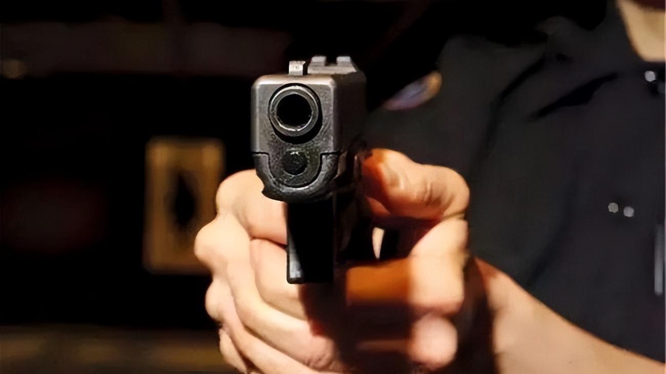 沈阳黑道大哥刘涌覆灭记第二回,王队长讲沈阳刘涌与沈文仓的故事