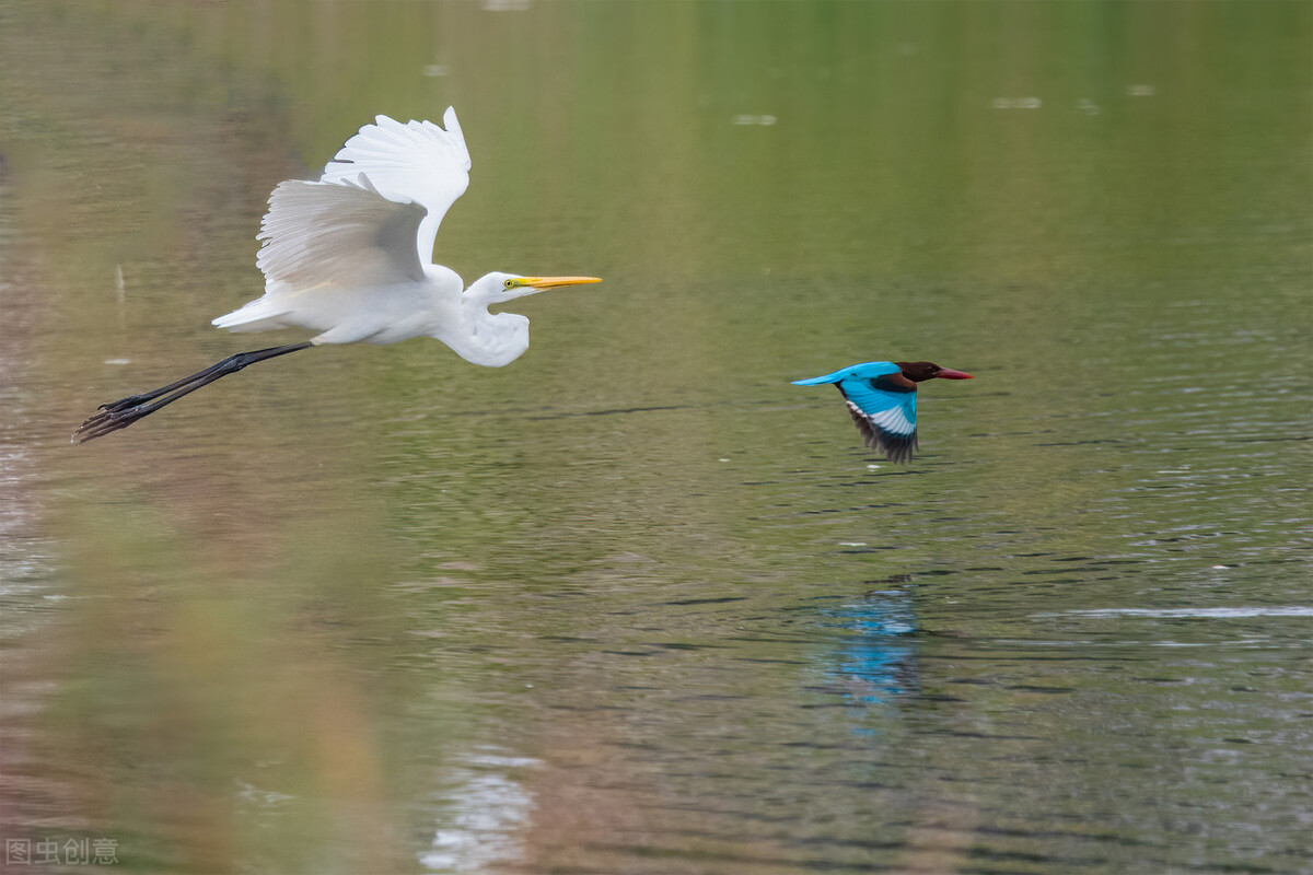 七种常见梦境的心理解析,心理暗示的秘密是什么