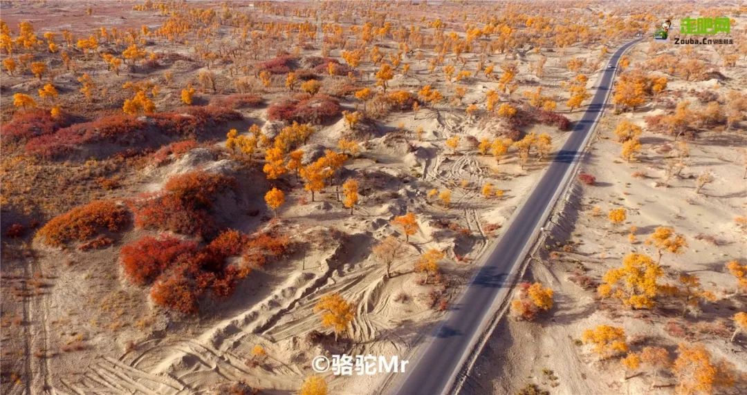 四明山赏秋最佳自驾路线,10条最美旅游线路