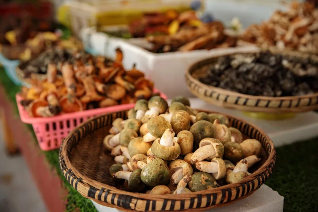 夏季美食避暑胜地,十个避暑胜地带你逃离酷热天气