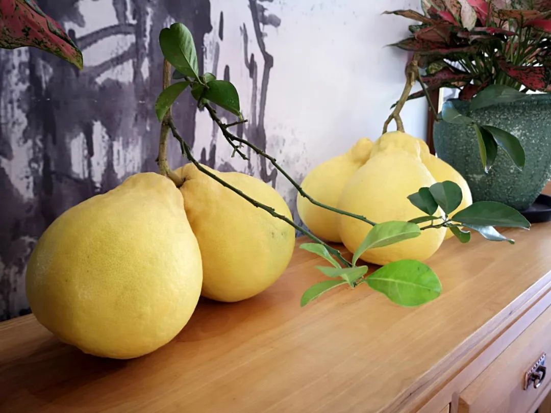 农产品难买难卖的问题,你的产品比别人好还便宜