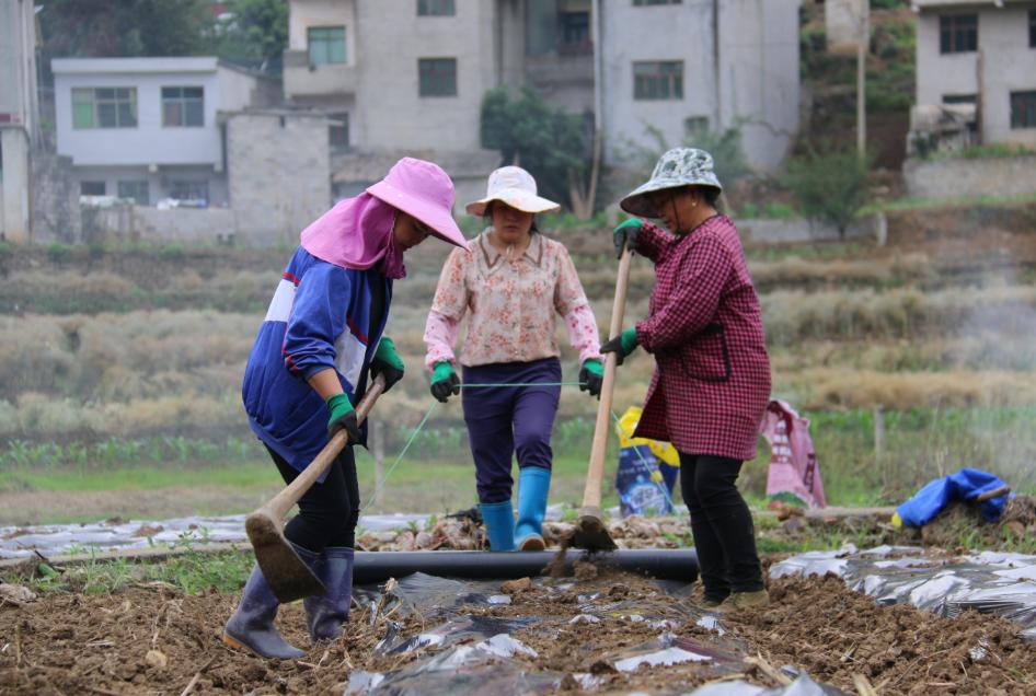 贵阳稳就业保民生成效显著,黔西农村扶贫产业